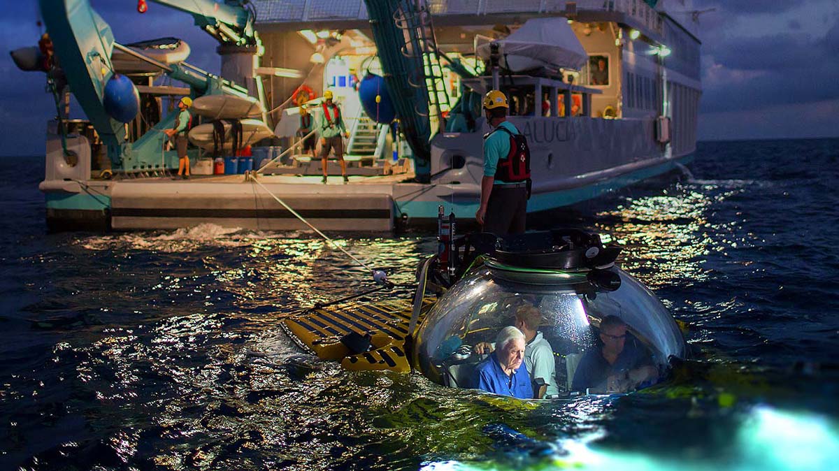 OceanX and Sir David Attenborough diving in a Triton Submersible filming the Great Barrier Reef